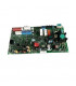 Circuit principal- VAILLANT - 0020202559