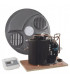 Kit compresseur vertical & régulation &- ATLANTIC - 029451