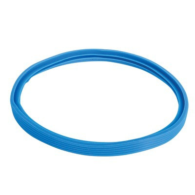 Scellant bleu de silicium 100mm- AOSMITH - 0303943(S)