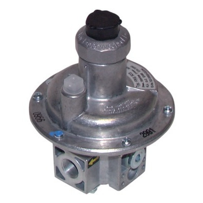 Régulateur de pression gaz DUNGS FRS510/1 FF1"- DUNGS - 070409