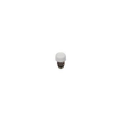 Purgeur d'air- DIFF - 109454