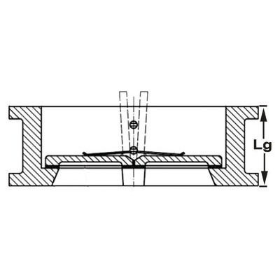 Clapet battant double fonte DN250- DIFF - 111568