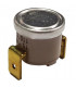 Thermostat bimétallique 110°C- DIFF - 150170