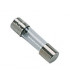 Fusible 250V 2A temporisé- DIFF pour Chaffoteaux - 61003456  - (X10)