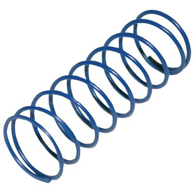 Ressort bleu régulateur FRS FF2"1/2, DN65 et DN80 10'30mb- DUNGS - 229886