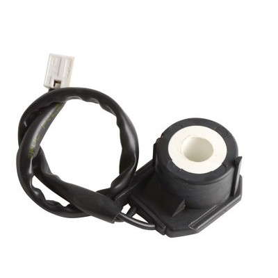 Bobine pompe- RIELLO - 3007481