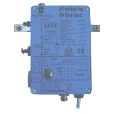 Pompe aspirante ECKERLE SK9E /FP8E- GOTEC - 110962