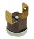 Thermostat surchauffe 100°C- FERROLI - 39805650