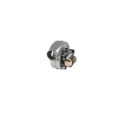 Extracteur- FERROLI - 39811561
