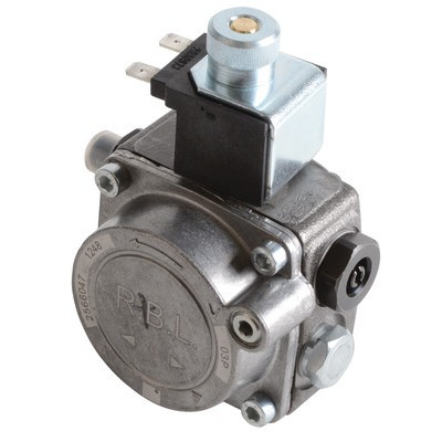 Pompe Gulliver RG0- RIELLO - 3002495