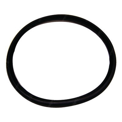 Joint noir Ø125- RIELLO - 4035886