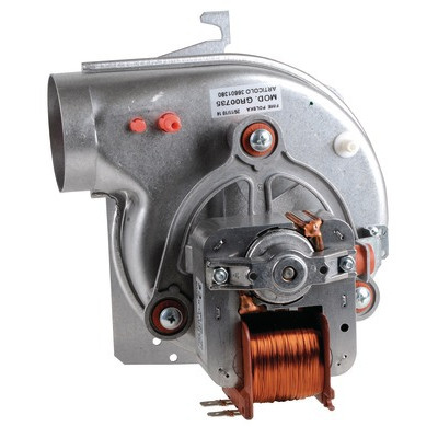Extracteur 30 kW- FERROLI - 39805890