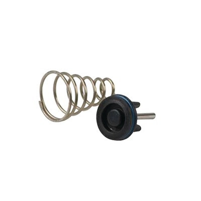 Plateau + ressort chauffage- RIELLO - 4363926