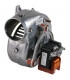Extracteur- RIELLO - 4364854