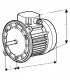 Moteur standard bride Néma 2 ventilés no- DIFF - 702052
