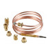 Thermocouple 6 raccords L1200mm- DIFF - 704216