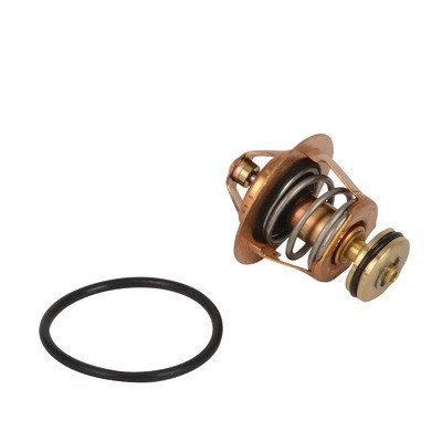 Cartouche thermostatique 55°C 1"- DOMUSA TEKNIK - CVAL000059