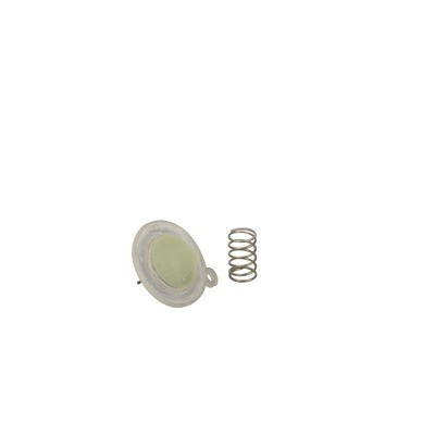 Membrane + disque- SAUNIER DUVAL - S1226900
