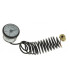 Manomètre 0-4b Ø43, 5 M1/4"- CHAPPEE - S135800