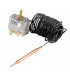 Thermostat rak51.41.81- CHAPPEE - S17007037