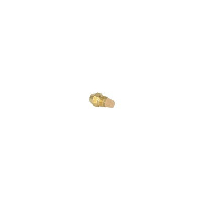 Gicleur Delavan 0,50 GPH 60° CT E (BF)- DE DIETRICH CHAPPEE - S50032799