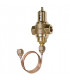 Vanne pressostatique faible débit Kv 0,5- JOHNSON CONTROLS - V46SA-9110