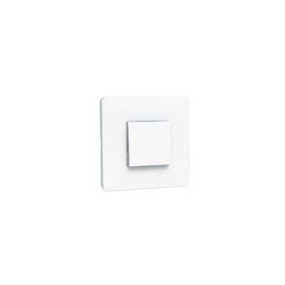 Bouton poussoir pour commande électrique (230 V ou à piles)- ANJOS - 1790