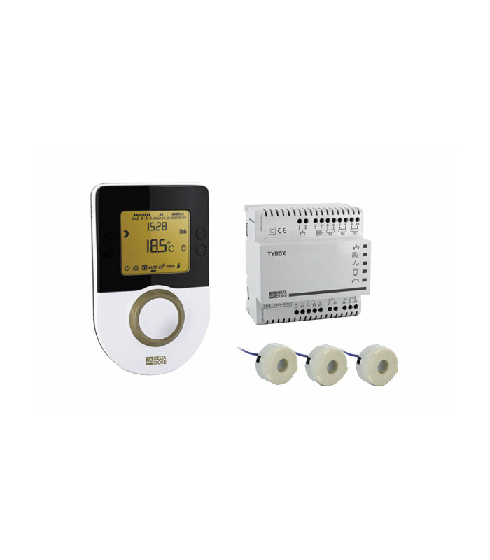 Thermostat 1010WT Delta Dore